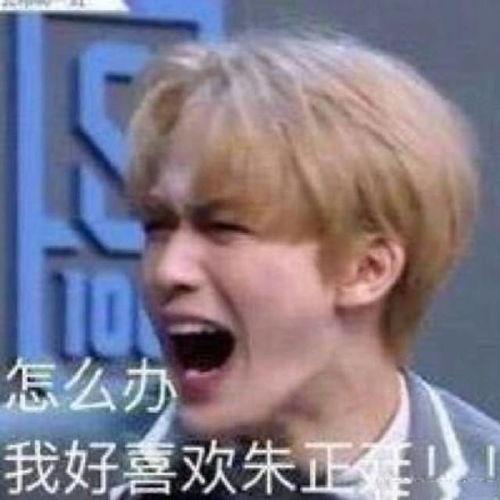 关于朱正廷表情包,笑点满满，魅力四溢的青春风采