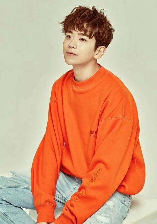 张皓宸图片,光影交织下的青春印记