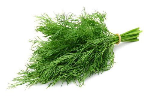 天菜图片,捕捉镜头下的绝世容颜